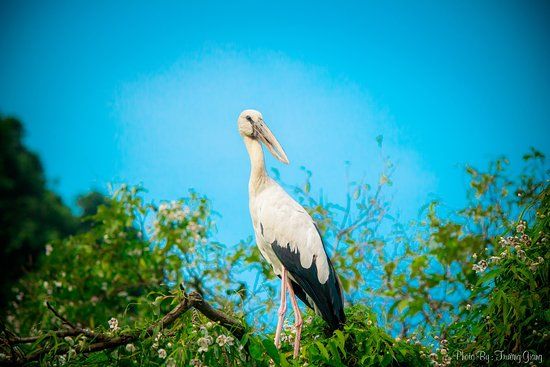 Thung Nham Bird Park Ecotourism